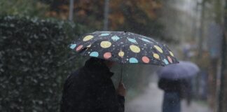 vroxi 2 1200x630.jpg