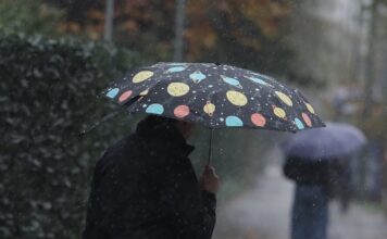 vroxi 2 1200x630.jpg