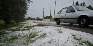 xalazi eurok 1200x630.jpg