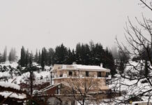 xioni attiki eurokinissi 1200x630.jpg