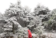 xioni kairos 1200x630.jpg