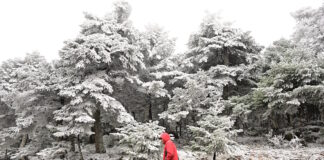 xioni kairos 1200x630.jpg