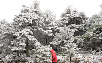 xioni kairos 1200x630.jpg