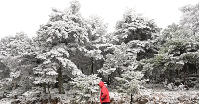 xioni kairos 1200x630.jpg