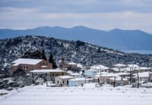 xionia 1 1 1200x630.jpg