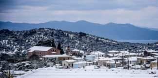 xionia 1 1 1200x630.jpg