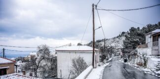 xionia 1 1200x630.jpg