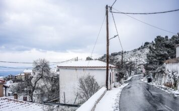 xionia 1 1200x630.jpg