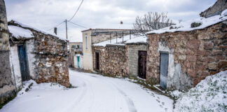 xionia eurok 1200x630.jpg