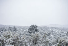 xionia eurok 2 1 1200x630.jpg