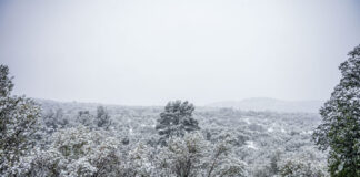 xionia eurok 2 1 1200x630.jpg