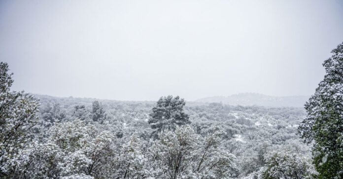 xionia eurok 2 1 1200x630.jpg