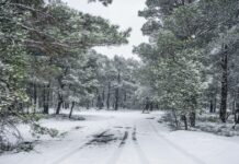 xionia eurok 2 1200x630.jpg