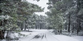 xionia eurok 2 1200x630.jpg