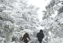 xionia eurok 5 1200x630.jpg