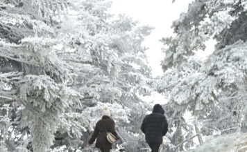 xionia eurok 5 1200x630.jpg