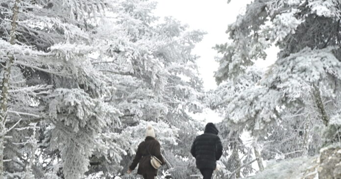 xionia eurok 5 1200x630.jpg