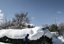 xionia eurok 6 1200x630.jpg