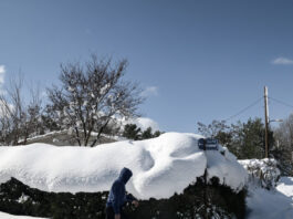 xionia eurok 6 1200x630.jpg