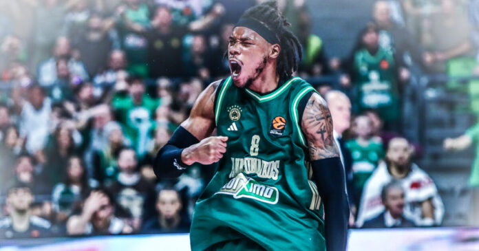 xolms 1 1200x630.jpg