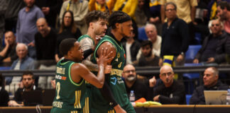 xolms 2 1200x630.jpg