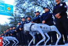 06fd5615 robot dogs mexico 1 og.jpg