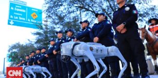 06fd5615 robot dogs mexico 1 og.jpg