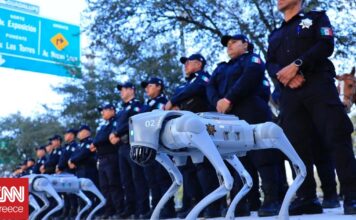 06fd5615 robot dogs mexico 1 og.jpg