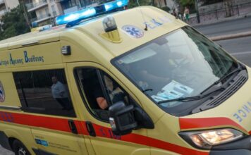 1770428272 asthenoforo 2 1200x630.jpg