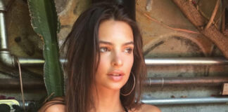 3a913f60ee366122b1839faf7774b859 L.jpg