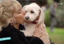 56083372c2f3adbd80edfa1a3f7a9526 L.jpg