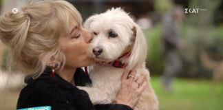 56083372c2f3adbd80edfa1a3f7a9526 L.jpg