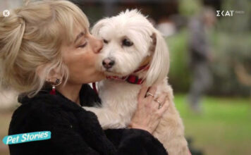 56083372c2f3adbd80edfa1a3f7a9526 L.jpg