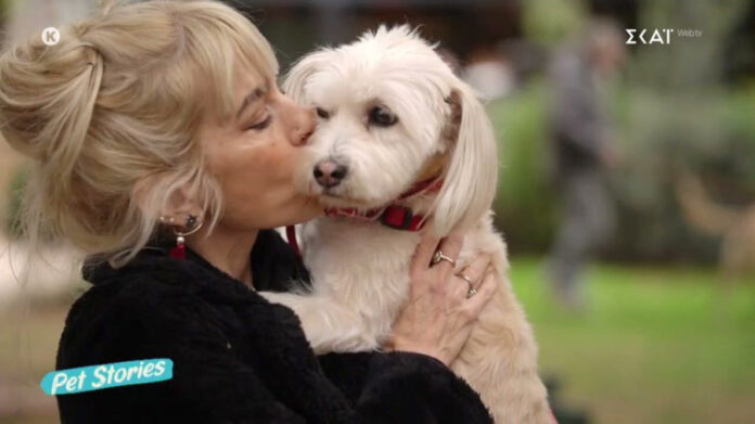 56083372c2f3adbd80edfa1a3f7a9526 L.jpg