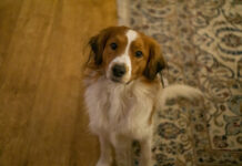 7118db705b2088cb21a4847677c90452 L.jpg