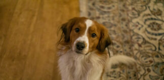 7118db705b2088cb21a4847677c90452 L.jpg