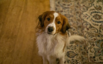 7118db705b2088cb21a4847677c90452 L.jpg