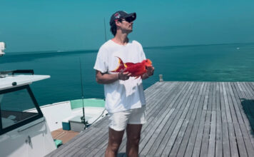 8bb5cd5caf67904b06c45dd2cbf11ae3 L.jpg