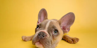 936d4fb4ea2f66da04d1d158eea6b3fd L.jpg