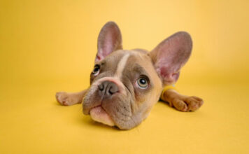 936d4fb4ea2f66da04d1d158eea6b3fd L.jpg