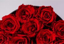 Agios Balentinos 6.jpg