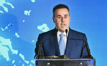 Stavros Papastaurou 1.jpg