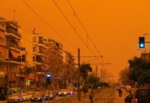 afrikaniki skoni 1 1200x630.jpg