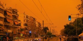 afrikaniki skoni 1 1200x630.jpg