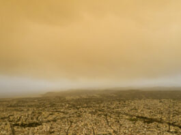 afrikaniki skoni eurok 1200x630.jpg