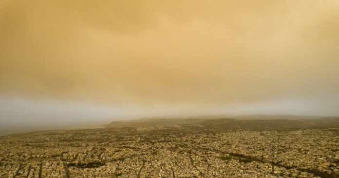 afrikaniki skoni eurok 1200x630.jpg