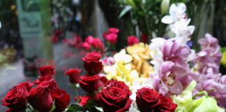 agiou valentinou 617x412.jpg