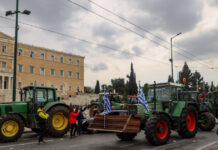 agrotes syntagma 1200x630.jpg