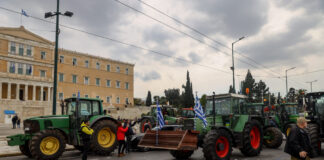agrotes syntagma 1200x630.jpg