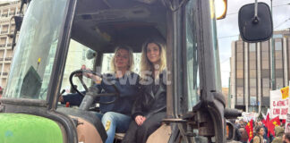 agrotisses 1200x630.jpg